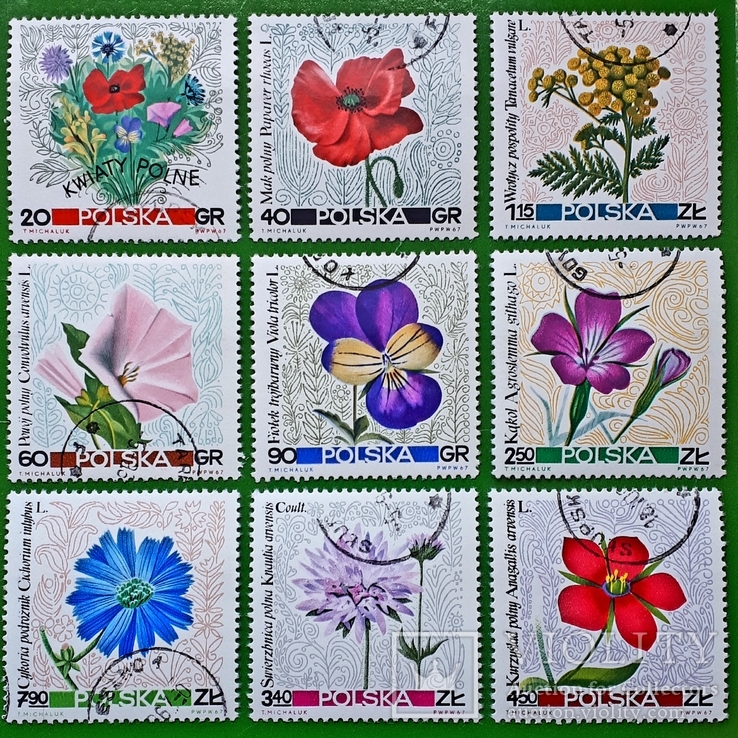 1967 Польша Цветы Флора