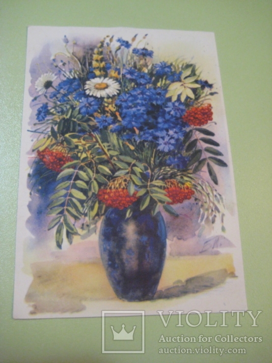 Польові квіти. Ізогіз. 1960 р. 1 млн., фото №2