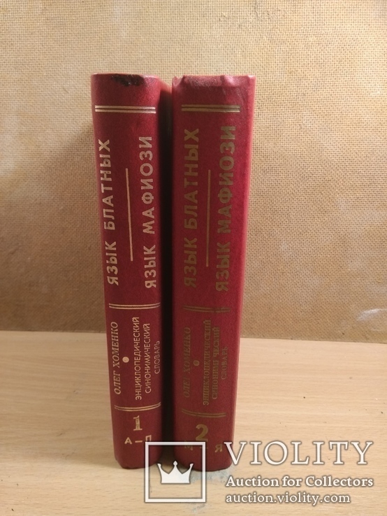  Язык блатных   О.Хоменко, фото №3
