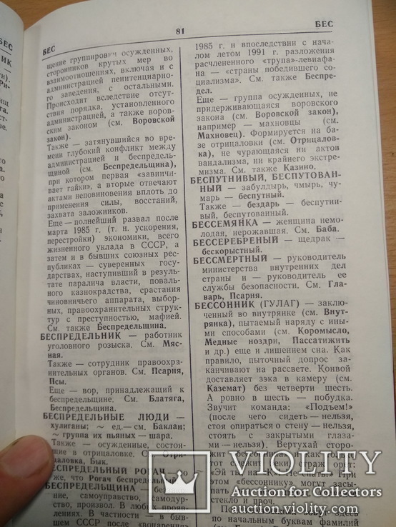  Язык блатных   О.Хоменко, фото №5