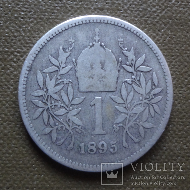 1 крона 1895  Австро-Венгрия серебро   (11.1.4)~, фото №2