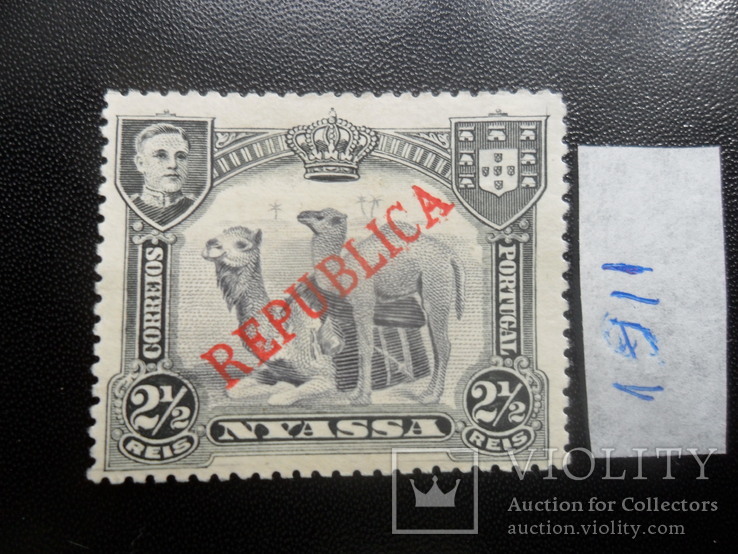 Фауна. Ньясса. 1911 г. Верблюды.