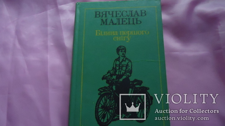 В. Малець Бiлина першого снiгу, фото №2