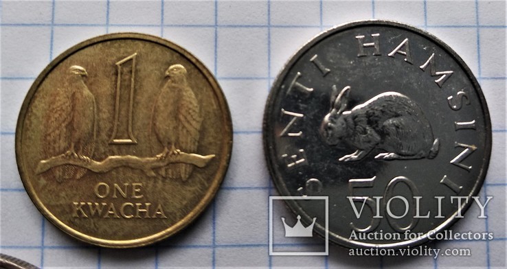 5 монет Африки (Руанда,Замбія,Танзанія,Гамбія,Уганда), фото №11