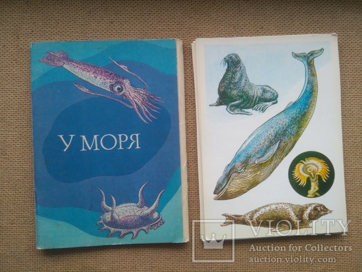 Набор 15шт открыток  У моря СССР, фото №2