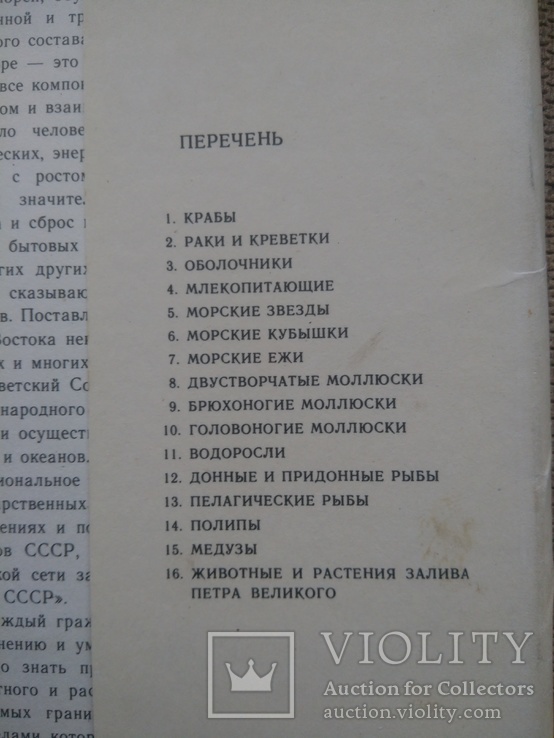 Набор 15шт открыток  У моря СССР, фото №4