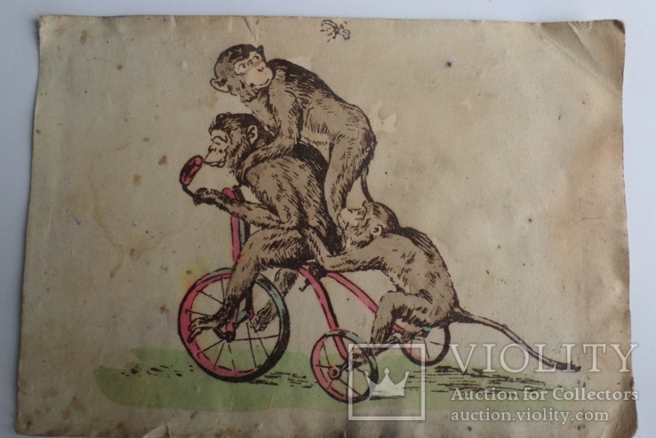Мавпи на велосипеді. Худ Легат М. І., фото №2