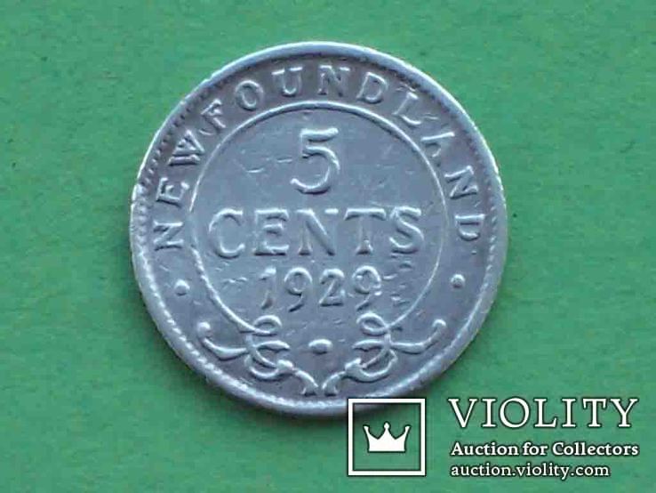 Ньюфаундленд 1929 5 центов, Георг V, фото №3
