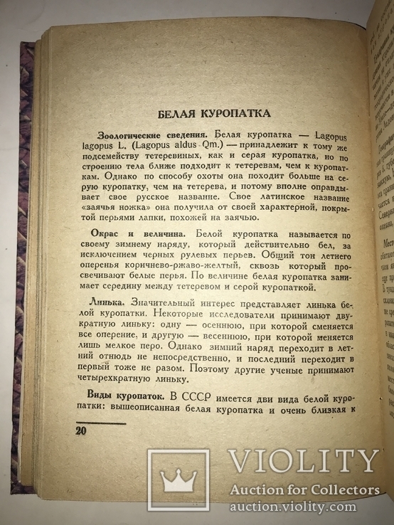 1931 Охота на Дичь 4 книги в одной, фото №7