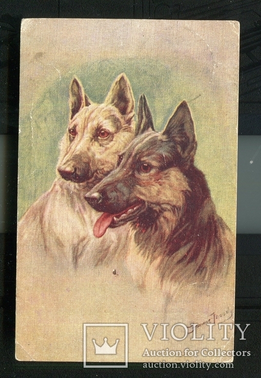 Охота собаки овчарка 1929 г почта штемпель, фото №2