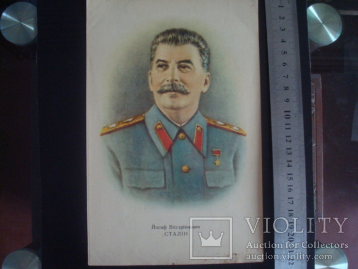 Портрет И.В.Сталина 22/14,5см., фото №2