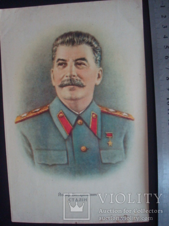 Портрет И.В.Сталина 22/14,5см., фото №5