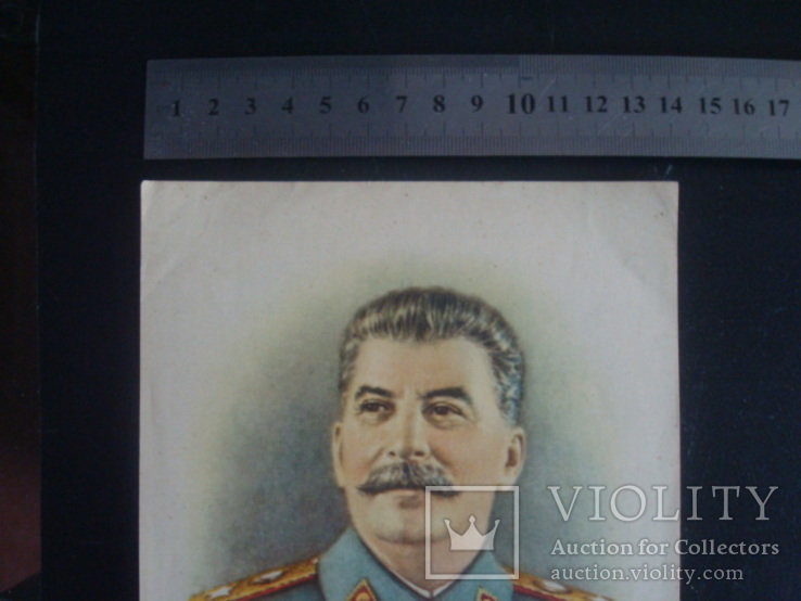 Портрет И.В.Сталина 22/14,5см., фото №6