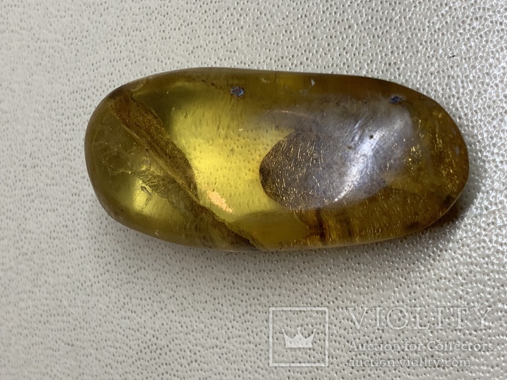 Полированный камень янтаря (4), фото №3