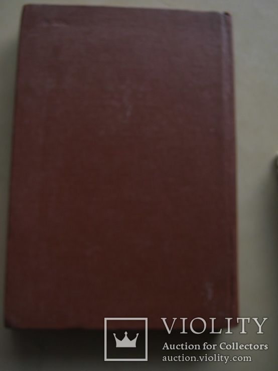 Две книги о Достоевском, фото №13