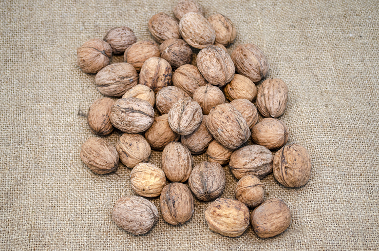 Грецкие орехи урожай 2018 г. 5 кг., фото №4