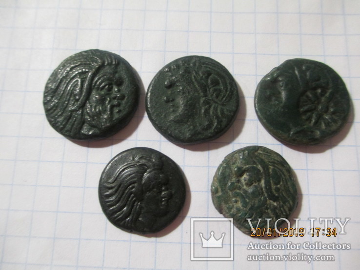 5 монет Пантикапея, фото №2