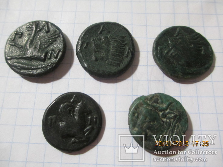 5 монет Пантикапея, фото №3