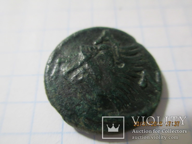 5 монет Пантикапея, фото №9