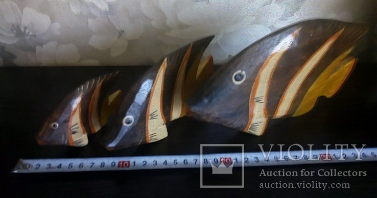 Рыбы набор Индонезия, фото №7