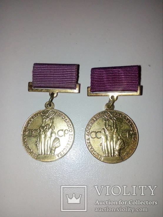 Медаль Выставка достижений народного хозяйства СССР, фото №3
