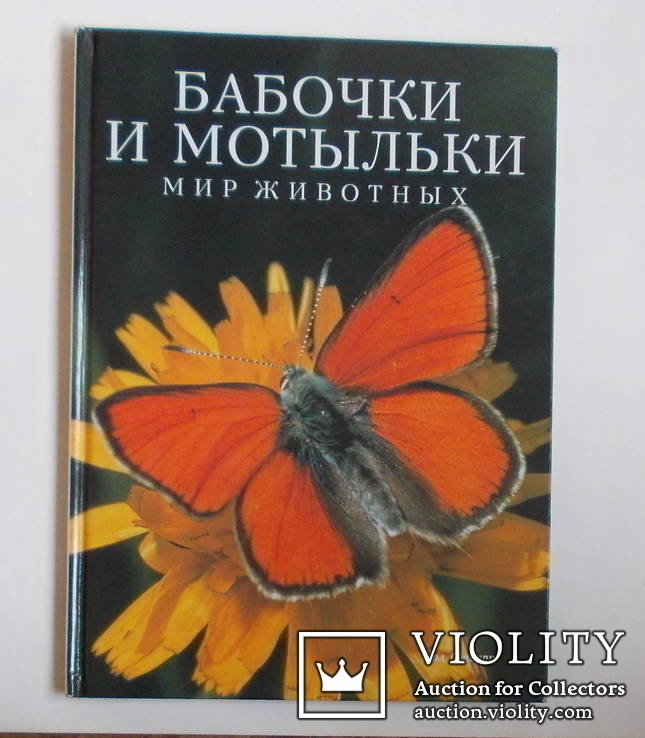 Бабочки и мотыльки. Минск. 1995 год.