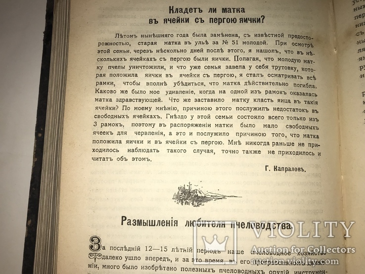 1907 Пчёлы Пчеловодная Жизнь Годовой Комплект, фото №4