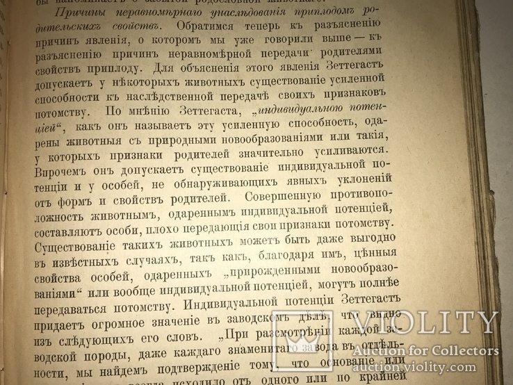 1913 Животноводство Сельское Хозяйство Издание Девриена, фото №4