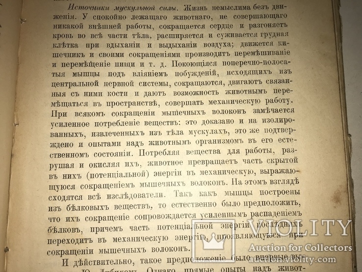 1913 Животноводство Сельское Хозяйство Издание Девриена, фото №6