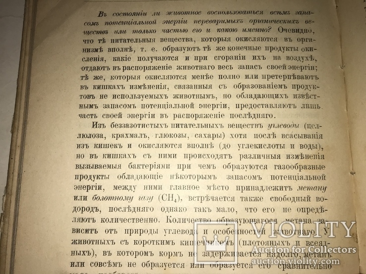 1913 Животноводство Сельское Хозяйство Издание Девриена, фото №7