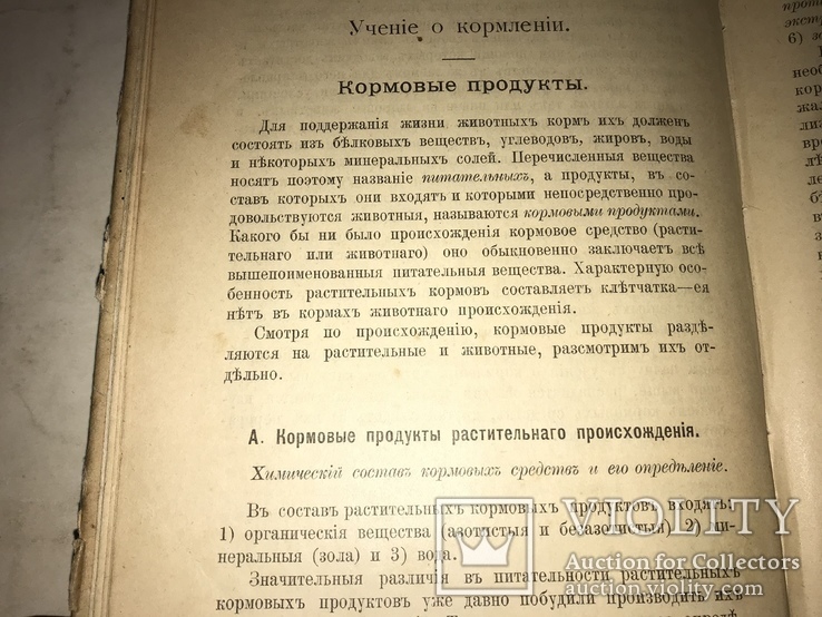 1913 Животноводство Сельское Хозяйство Издание Девриена, фото №9
