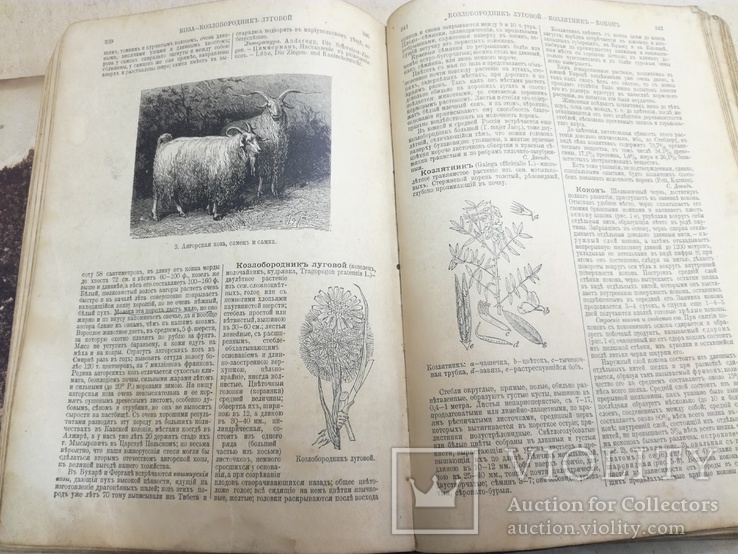 Полная энциклопедия русского сельского хозяйства...  А.Ф.Девриена том 4 1901г, фото №11