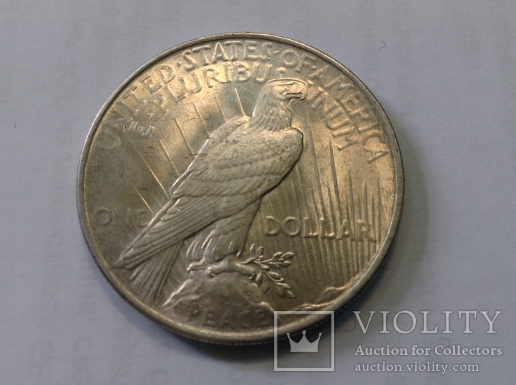 Доллар 1924г, фото №4