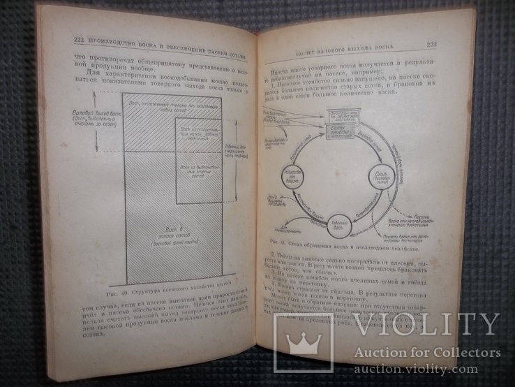 Справочник пчеловода.1951 год., фото №6