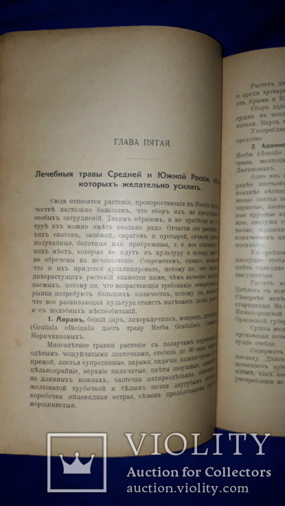 1917 Сбор и сушка лекарственных растений в России, фото №8
