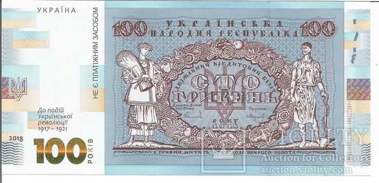 100 грн 2018  Сувенирная банкнота НБУ без буклета, фото №2