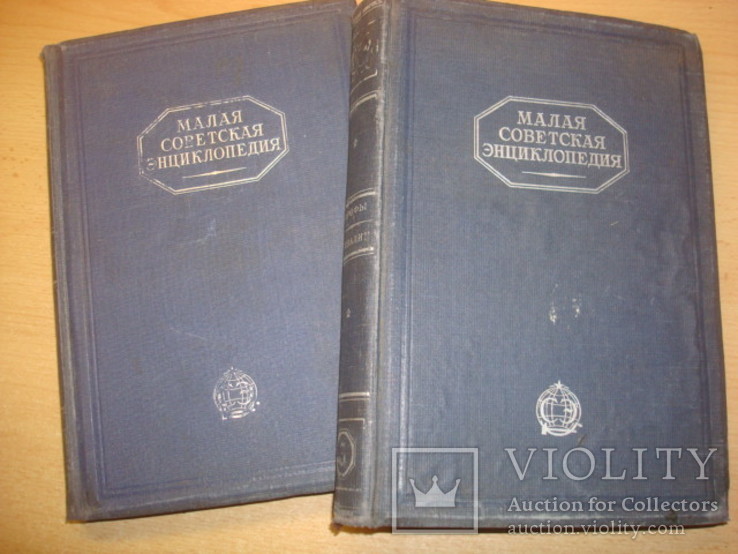 Малая Советская энциклопедия 1929 г. ( 2-3 том.), фото №3