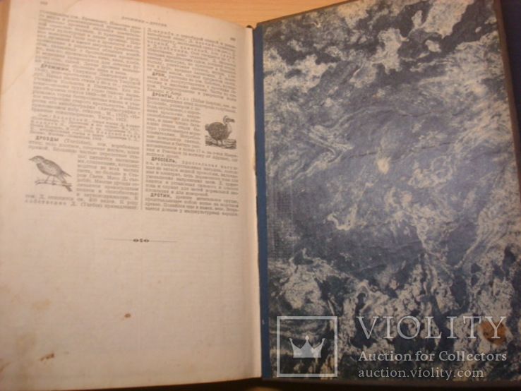 Малая Советская энциклопедия 1929 г. ( 2-3 том.), фото №9