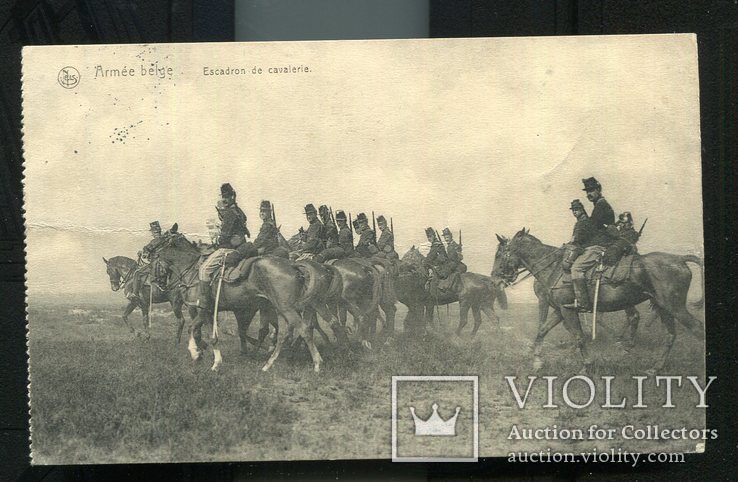 1 Мировая война. Бельгия эскадрон лощадь Конь 1915 г, фото №2