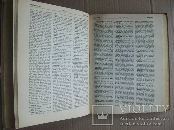 1927 г. Большой энциклопедический словарь, полный - Львов, фото №6