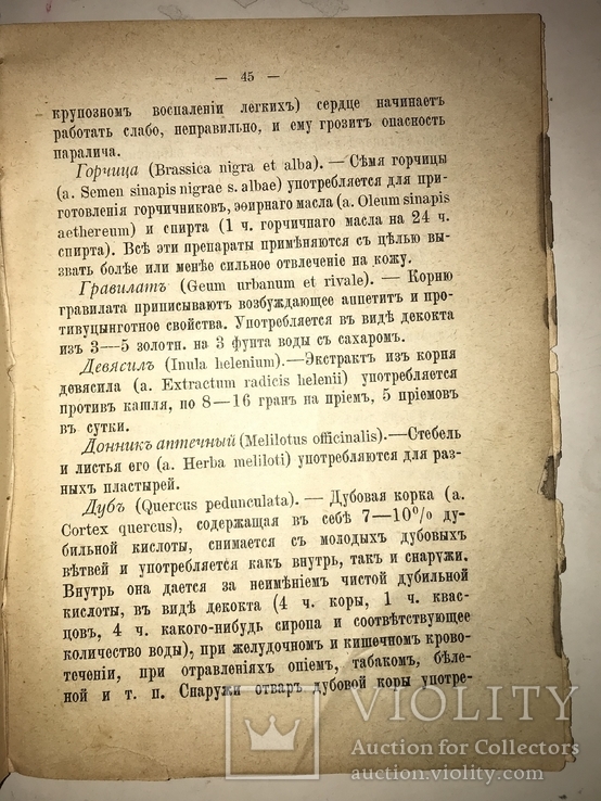 1891 Календарь Флоры Медведева, фото №3