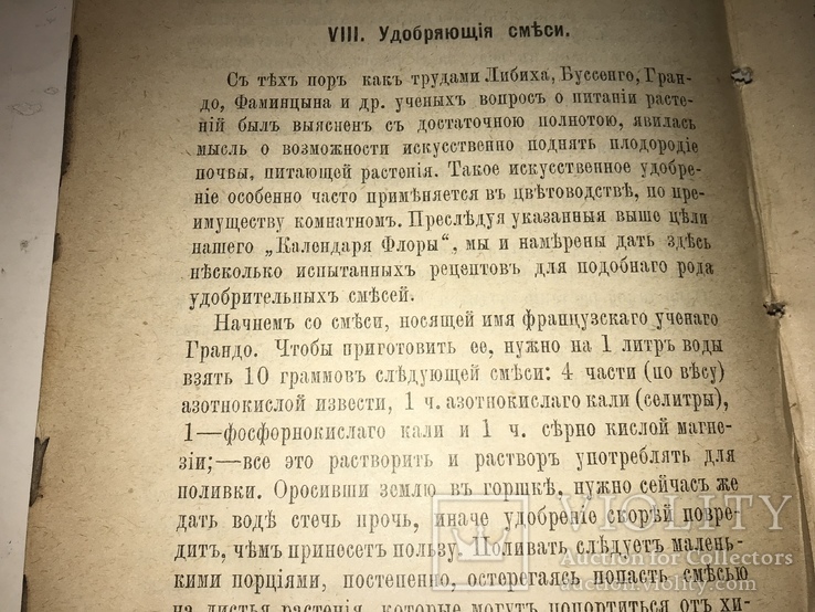 1891 Календарь Флоры Медведева, фото №4