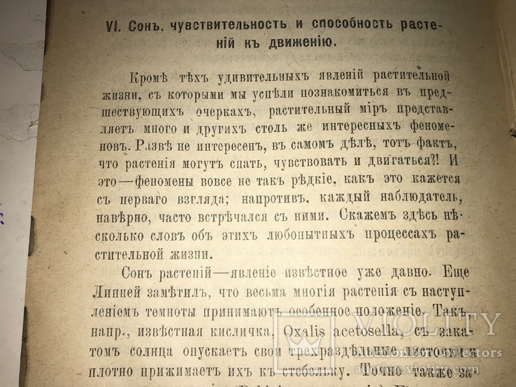 1891 Календарь Флоры Медведева, фото №6