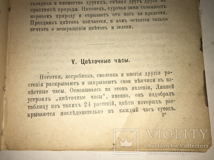 1891 Календарь Флоры Медведева, фото №7