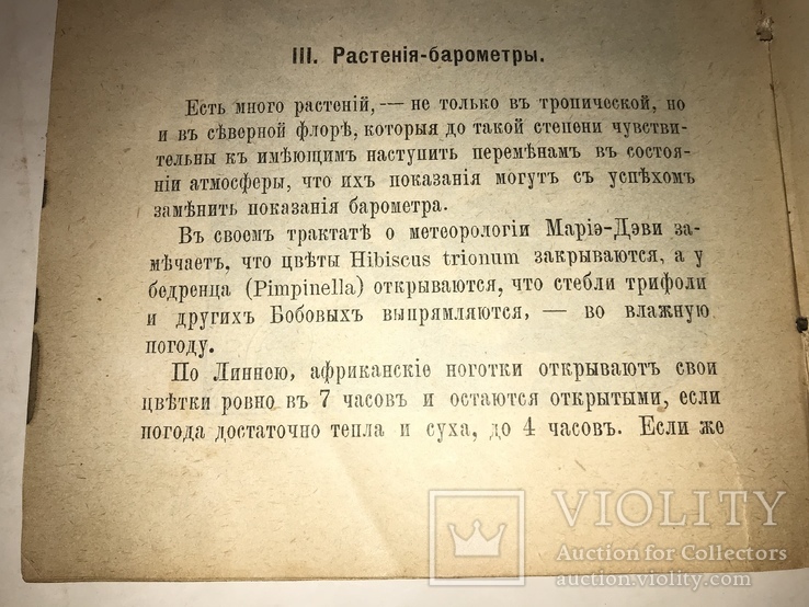 1891 Календарь Флоры Медведева, фото №8