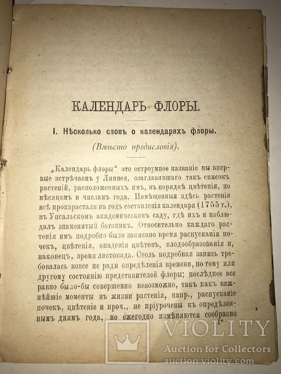 1891 Календарь Флоры Медведева, фото №11