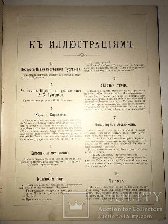 1898 Альбом Фототипий Тургенева Шикарный 30/24, фото №10