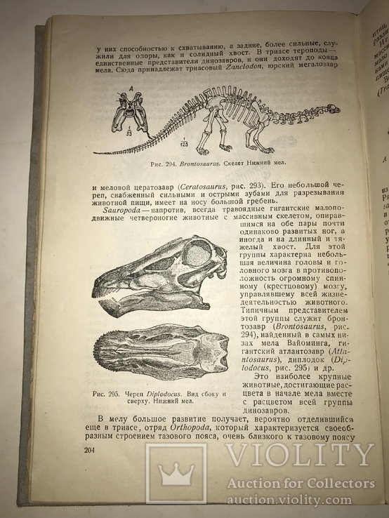 1934 Книга Коллекционера Окаменелостей Палеофаунистика Динозавры, фото №5