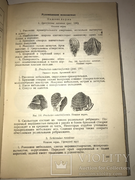 1934 Книга Коллекционера Окаменелостей Палеофаунистика Динозавры, фото №7