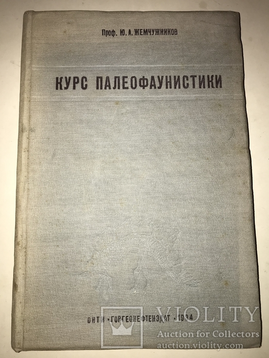 1934 Книга Коллекционера Окаменелостей Палеофаунистика Динозавры, фото №9